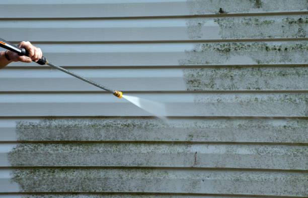 Best Fence Cleaning  in Lindsay, CA